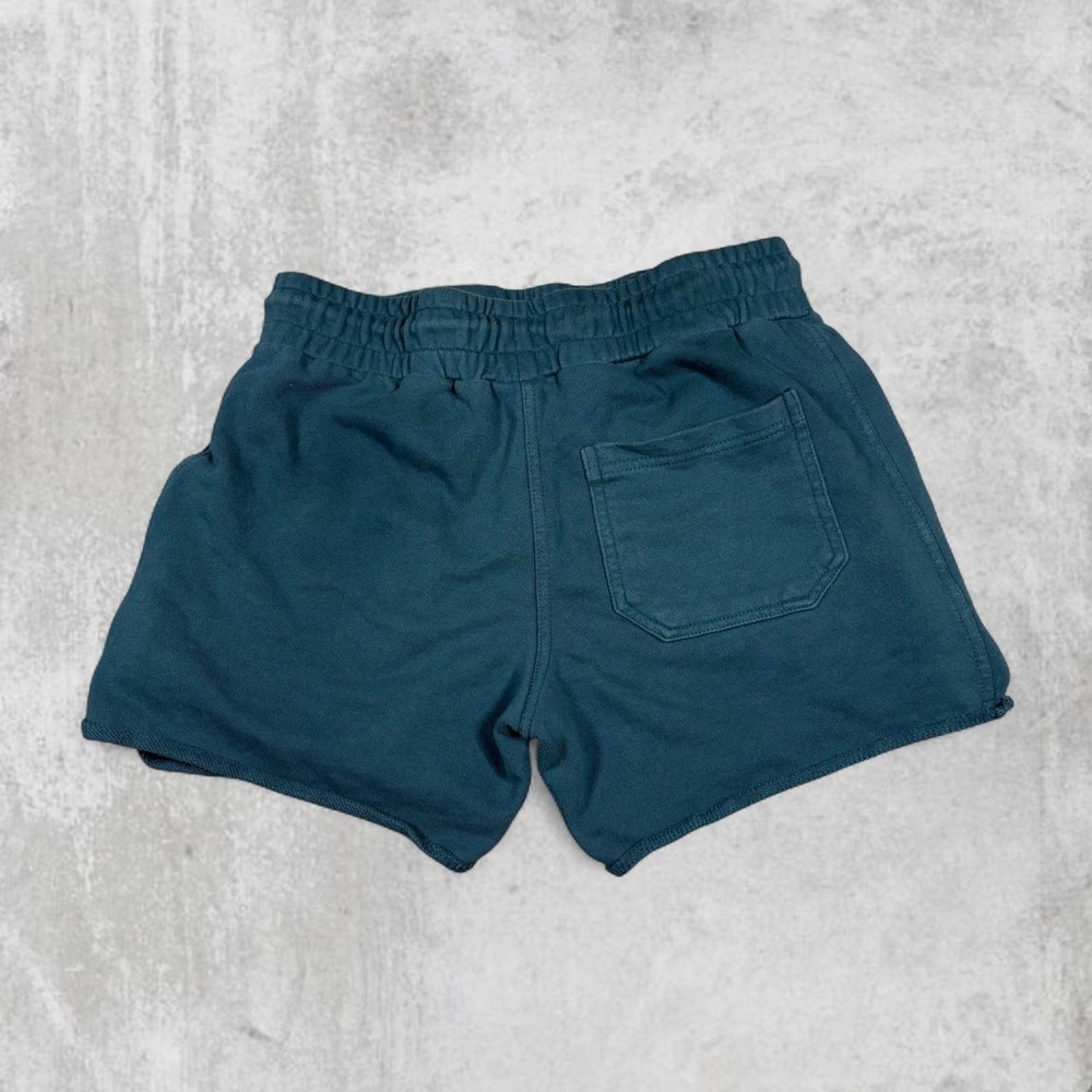 YoungLA Young Ambitious Club 2014 Koi Graphic Shorts Teal Blue Medium YLA152 - Picture 3 of 7